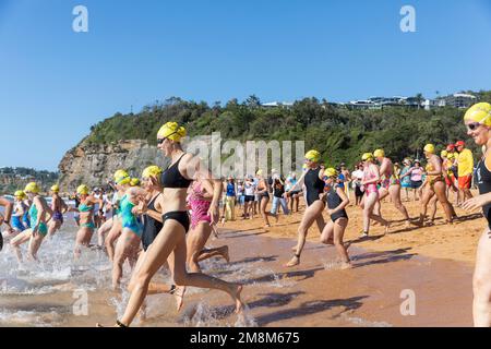 Bilgola Beach Sydney. Blackmores Billy Ocean courses de natation à Bilgola Beach sur les plages du nord de Sydney, comprenant 500m épreuves masculines et féminines et un parcours de 1,5km pour les compétitions de natation masculines et féminines. Photo de femmes nageurs féminins dans l'événement de 500m. Dimanche 15th janvier 2023 crédit Martin Berry @ alamy Live news. Banque D'Images