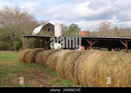 Balles de foin avec ancienne grange et silos Banque D'Images