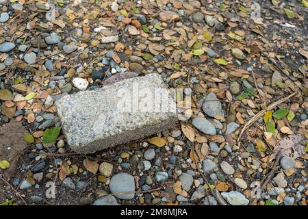 Briques de béton sur les galets et les feuilles mortes au milieu d'une construction de parc de ville de près Banque D'Images