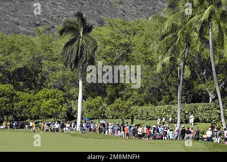 Honolulu, Hawaï, États-Unis. 12th janvier 2023. Les fans de golf ont assisté à la première partie de l'Open de Sony au terrain de golf Waialae, Honolulu, Hawaii. (Credit image: © Steven Erler/ZUMA Press Wire) USAGE ÉDITORIAL SEULEMENT! Non destiné À un usage commercial ! Banque D'Images