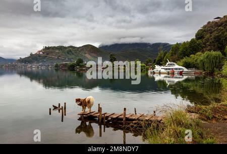 Préfecture autonome de Liangshan yi dans le lac de lugu du sichuan yanyuan Banque D'Images