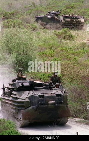 LES Marines DES ÉTATS-UNIS, avec 3rd pistes, manœuvrent deux véhicules d'assaut amphibies (AAVP7A1) sur une route de terre sur la base marine des États-Unis à Camp Pendleton, en Californie. Cette mission est en soutien direct de l'opération Kernel Blitz '99. Sujet opération/série: NOYAU BLITZ '99 base: Corps de marine base Camp Pendleton État: Californie (CA) pays: États-Unis d'Amérique (USA) Banque D'Images