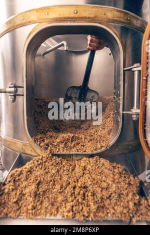 L'écrasement de graines de malt broyé pour la préparation du malt. Processus de grain d'orge de brasserie. Banque D'Images