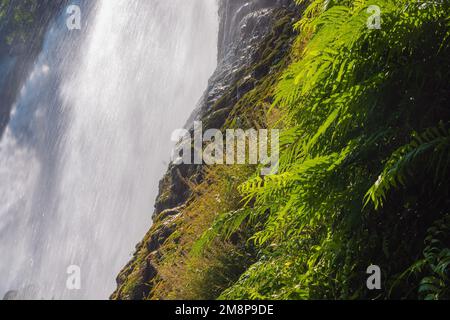 Chute d'eau Ban Gioc à la frontière du Vietnam et de la Chine Banque D'Images