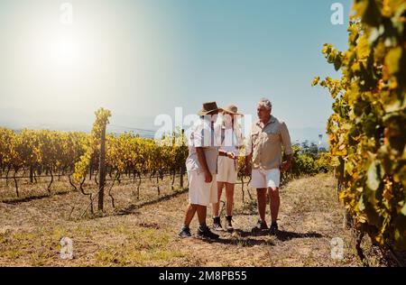 Un groupe diversifié d'agriculteurs seniors parlant dans le domaine des vignobles. Personnes âgées debout sur la ferme viticole et regardant les récoltes. Collègues et Banque D'Images