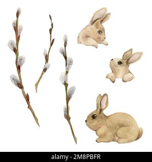 Aquarelle créée à la main pour célébrer la fête de Pâques. Ensemble de petits lapins avec branches de saule printanier. Couleur pastel. Isolé sur fond blanc. Pour Banque D'Images