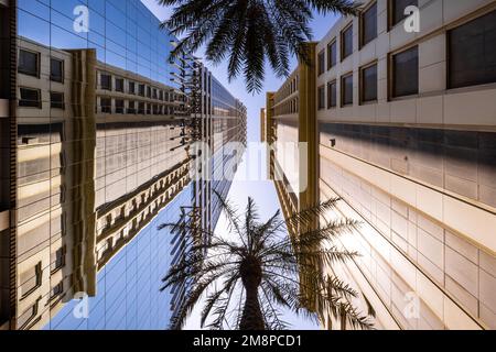 Plan symétrique de deux gratte-ciel se faisant face dans le centre de Dubaï, avec deux palmiers se tenant entre eux Banque D'Images