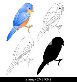 Petit oiseau Grive Bluebird silhouette et contour nature sur fond blanc vintage illustration vectorielle modifiable dessin à la main Illustration de Vecteur