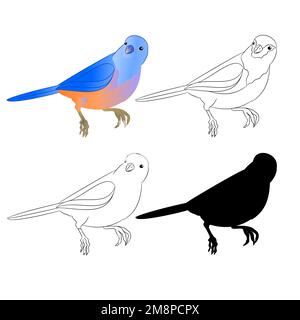 Petit oiseau Grive Bluebird contour nature et silhouette sur un fond blanc vecteur vintage illustration modifiable main dessiner Illustration de Vecteur