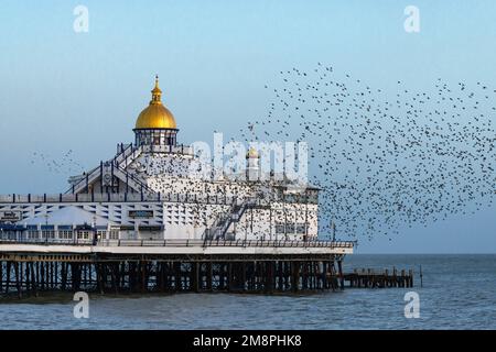 Murmuration de Starlings, au-dessus de la jetée d'Eastbourne. Un grand nombre d'étoiles rôde ensemble pour des raisons de sécurité en hiver. Banque D'Images