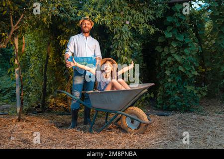 Jardinage biologique familial. Beau jardinier caucasien barbu en chapeau de paille tient une boîte avec la récolte. Petite fille heureuse assise dans un chariot. Le concept Banque D'Images