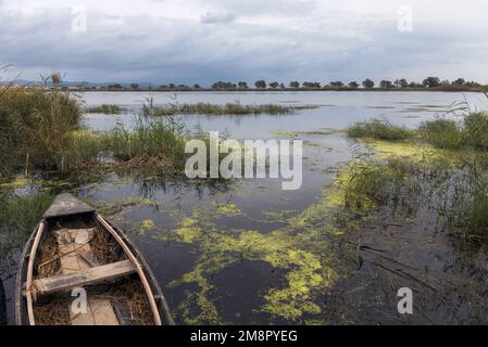 Bateau au parc naturel du Delta de l'Ebre, Catalogne Banque D'Images