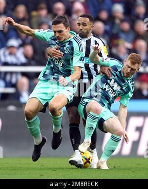 Callum Wilson (au centre) de Newcastle United lutte pour le ballon avec Joao Palhinha de Fulham et Harrison Reed (à droite) pendant le match de la Premier League à St. Parc James, Newcastle. Date de la photo: Dimanche 15 janvier 2023. Banque D'Images