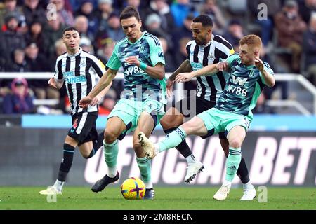 Callum Wilson (au centre) de Newcastle United lutte pour le ballon avec Joao Palhinha de Fulham et Harrison Reed (à droite) pendant le match de la Premier League à St. Parc James, Newcastle. Date de la photo: Dimanche 15 janvier 2023. Banque D'Images