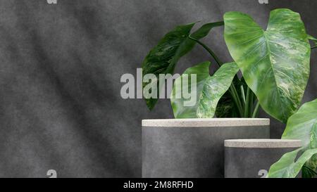 Un podium de texture en béton Terrazzo, 3D rend maquette avec un arrière-plan de plante d'alocasie Banque D'Images