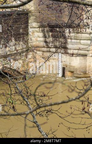 Niveau d'eau de la rivière Avon à Bradford sur Avon Wiltshire. De fortes précipitations ont fait éclater la rivière Avon sur ses rives. Janvier 2023. Wiltshire, Angleterre, Royaume-Uni Banque D'Images