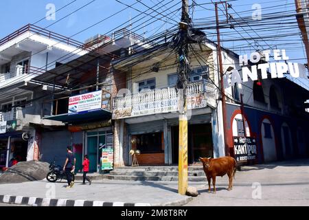 Centre-ville, Pokhara, province de Gandaki, Népal, Asie Banque D'Images