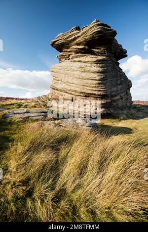 Peak District Moorland en fleur avec le chineur pourpre Derbyshire Angleterre Banque D'Images