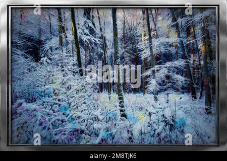 SUJET DE NOËL: Joyeuses fêtes (Forêt de Farchet à Bad Toelz, Oberbayern, Allemagne) Banque D'Images