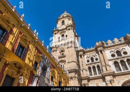 Plaza del Obispo, cathédrale avec le palais de l'évêque sur la gauche. Malaga, Costa del sol, province de Malaga, Andalousie, sud de l'Espagne. Banque D'Images