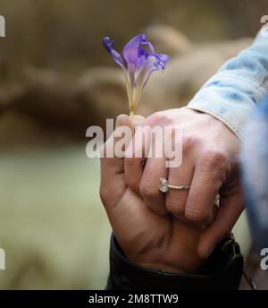 Juste elle a dit Oui, l'amour est puissant Banque D'Images