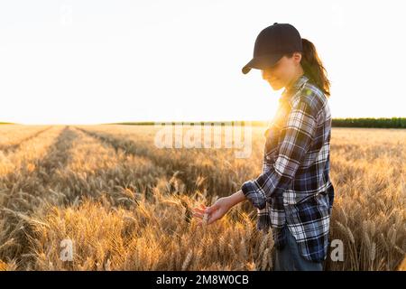 Une femme agricole touche les oreilles de blé sur un champ agricole Banque D'Images