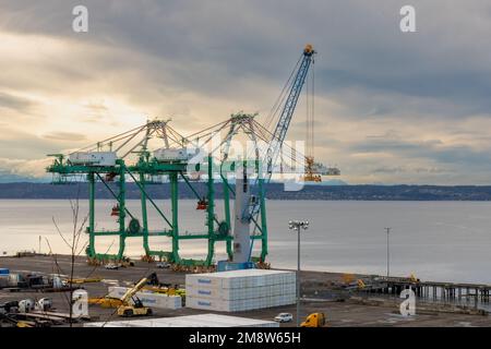 Everett WA USA - 01-11-2023: Port d'Everett grues et quai prêt à recevoir un cargo, sur le quai Walmart Container Banque D'Images