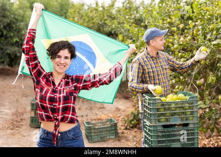 Jeune latinote souriante gardère drapeau du Brésil et souriante à la caméra pendant que les ouvriers ramassant des citrons à la ferme Banque D'Images