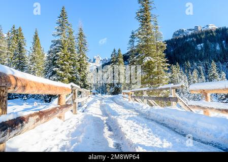 Pont en bois recouvert de neige sur une route étroite traversant une vallée de montagne par une belle journée d'hiver. L'hiver est magnifique. Banque D'Images