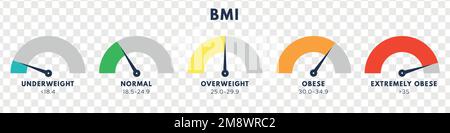 Indice de masse corporelle ou échelle d'indice de masse. Types d'IMC.concept de perte de poids. Illustration vectorielle isolée Illustration de Vecteur