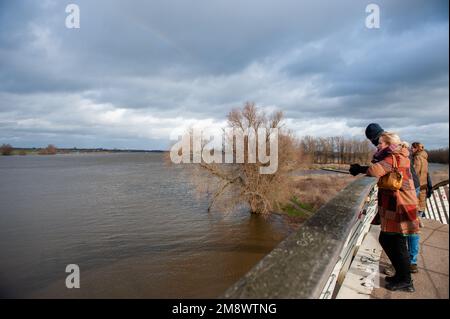 Nimègue, pays-Bas. 15th janvier 2023. On voit les gens regarder la montée de la rivière Waal depuis un pont. Le niveau d'eau des principaux fleuves des pays-Bas augmente fortement, en raison de la pluie qui a chuté pendant toute la semaine. Le fait que le niveau d'eau est tellement plus élevé est bon pour le transport maritime. Contrairement à l'été, lorsque le niveau d'eau était très bas, les bateaux et les cargos ne pouvaient pas naviguer. Crédit : SOPA Images Limited/Alamy Live News Banque D'Images