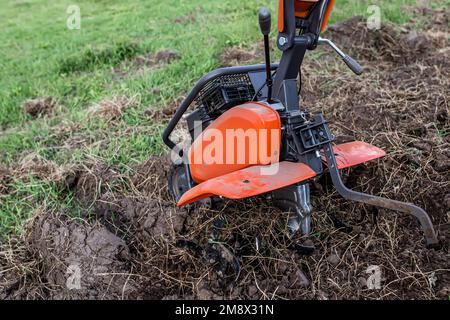 Cultivateur dans un champ non cultivé au printemps. Terre vierge avec herbe et mauvaises herbes dans le jardin avant de labourer avec un cultivateur. Banque D'Images