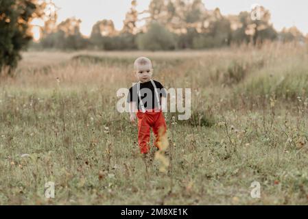 un petit garçon marche sur le terrain en été. Le grain ajouté simule la photo du film Banque D'Images