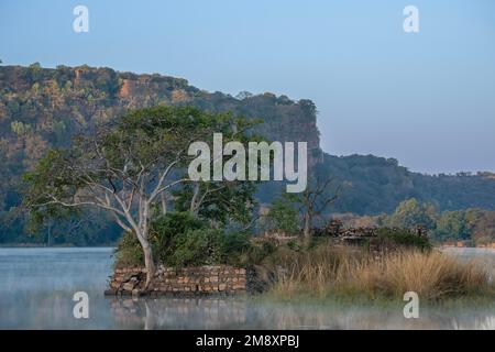 Une ancienne mosquée en ruines, sur une île dans un lac brumeux du parc national de Ranthambore, avec le fort de colline en arrière-plan Banque D'Images