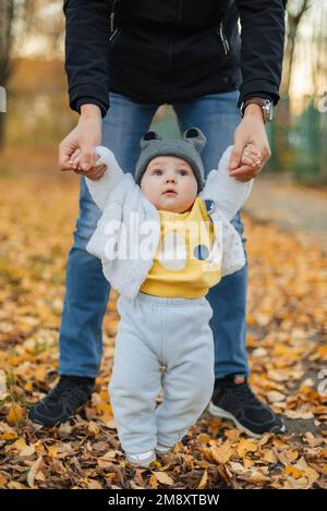 Le petit garçon apprend à faire les premiers pas en tenant les mains de papa en automne dans le parc Banque D'Images