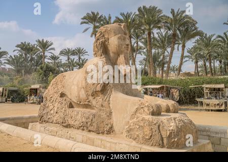 Sphinx, jardin de sculptures, musée, avec Rathina, Memphis, Égypte Banque D'Images