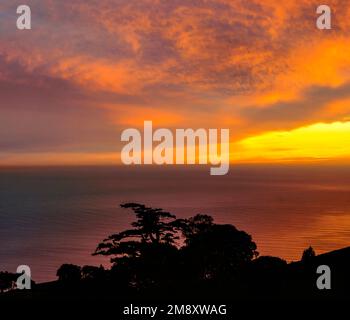 Coucher de soleil, Océan Pacifique, Bolinas Ridge, Parc d'état de Mount Tamalpais, terrain de loisirs national de Golden Gate, comté de Marin, Californie Banque D'Images