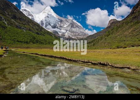 Mont sacré Jampelyang, 5958 m, Luorong Grassland, Pasture de Luorong, Parc national de Yading, Himalaya, Comté de Daocheng, Sichuan, Tibet oriental, Tibet Banque D'Images