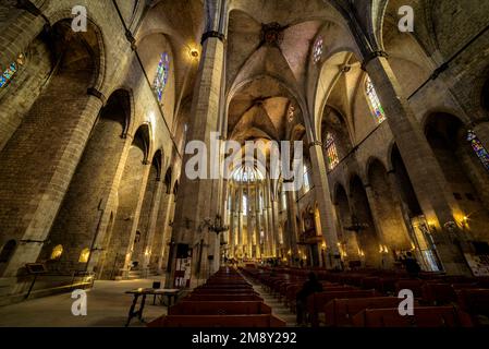 Intérieur de la basilique gothique de Santa Maria del Mar (Barcelone, Catalogne, Espagne) ESP: Intérieur de la basílica gótica de Santa Maria del Mar Banque D'Images