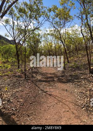 Le sentier menant aux chutes de Motorcar mène vers une vallée légèrement boisée, parc national de Kakadu, territoire du Nord, Australie Banque D'Images