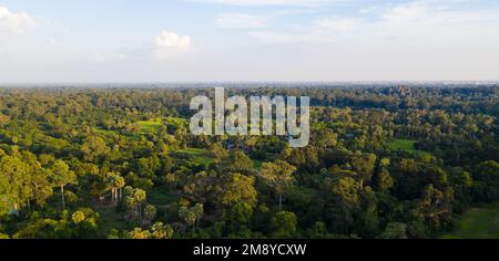 Surplombant Angkor Wat, Banque D'Images