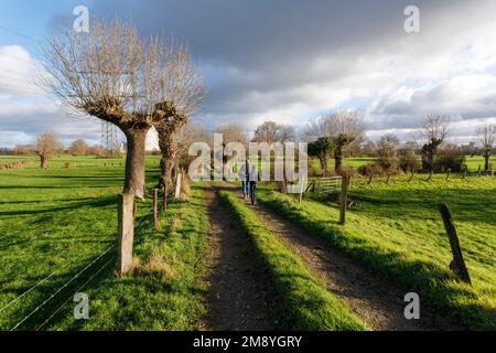 Loisirs locaux dans la réserve naturelle de Rheinaue Binsheim sur les rives du Rhin à Duisburg-Baerl Banque D'Images