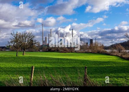 Réserve naturelle Rheinaue Binsheim sur les rives du Rhin, en face de la toile de fond industrielle de ThyssenKrupp Steel Europe AG Banque D'Images