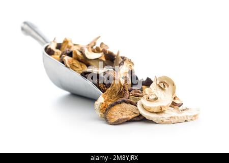 Divers champignons séchés en tranches dans une cuillère isolée sur fond blanc. Banque D'Images