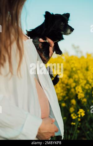 Une femme enceinte avec un petit chien noir dans la nature. Champ de colza Banque D'Images