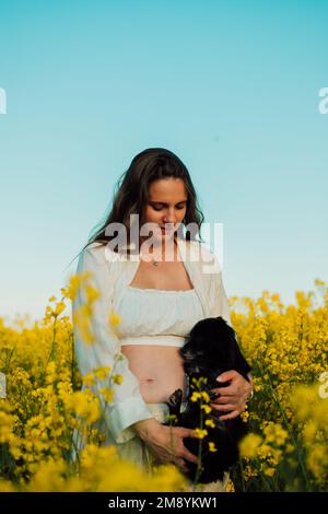 Des flamants roses sur le lac par une belle journée d'été Banque D'Images