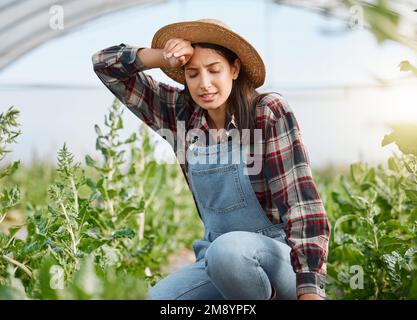 C'est assez chaud aujourd'hui. une jeune femme qui a l'air épuisée en travaillant dans une ferme. Banque D'Images