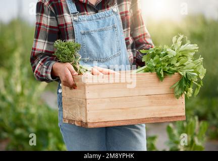 N'importe qui pour quelques verts frais. Gros plan d'une femme méconnue tenant une caisse de produits frais sur une ferme. Banque D'Images