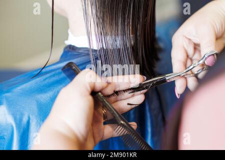 coiffage dans un salon de beauté. les mains du coiffeur coupent les cheveux de brunette près. Banque D'Images