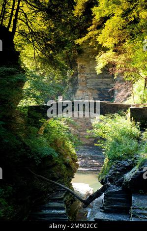 Photo verticale d'un petit pont au-dessus de la rivière dans le parc national Robert H. Treman à New York. Banque D'Images